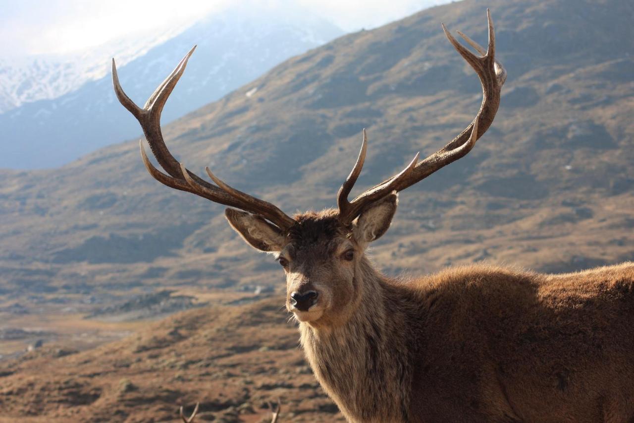 Outlander Glencoe At Creag An-T Sionnaich Glencoe Ballachulish Highlands Near Fort William Exterior foto